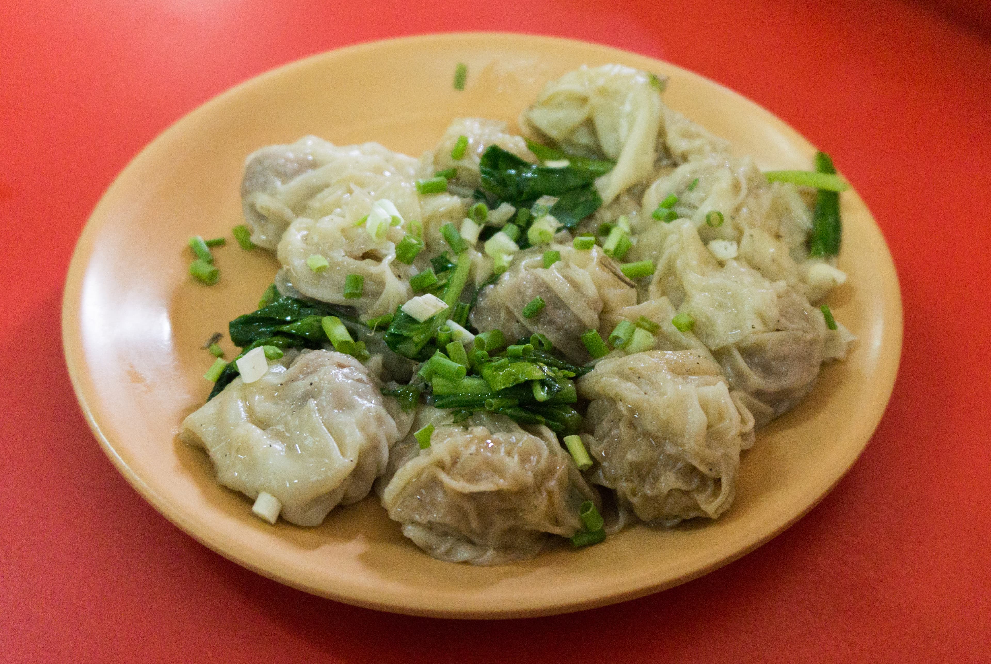 Bowl of wonton soup with pork dumplings, bok choy, and scallions