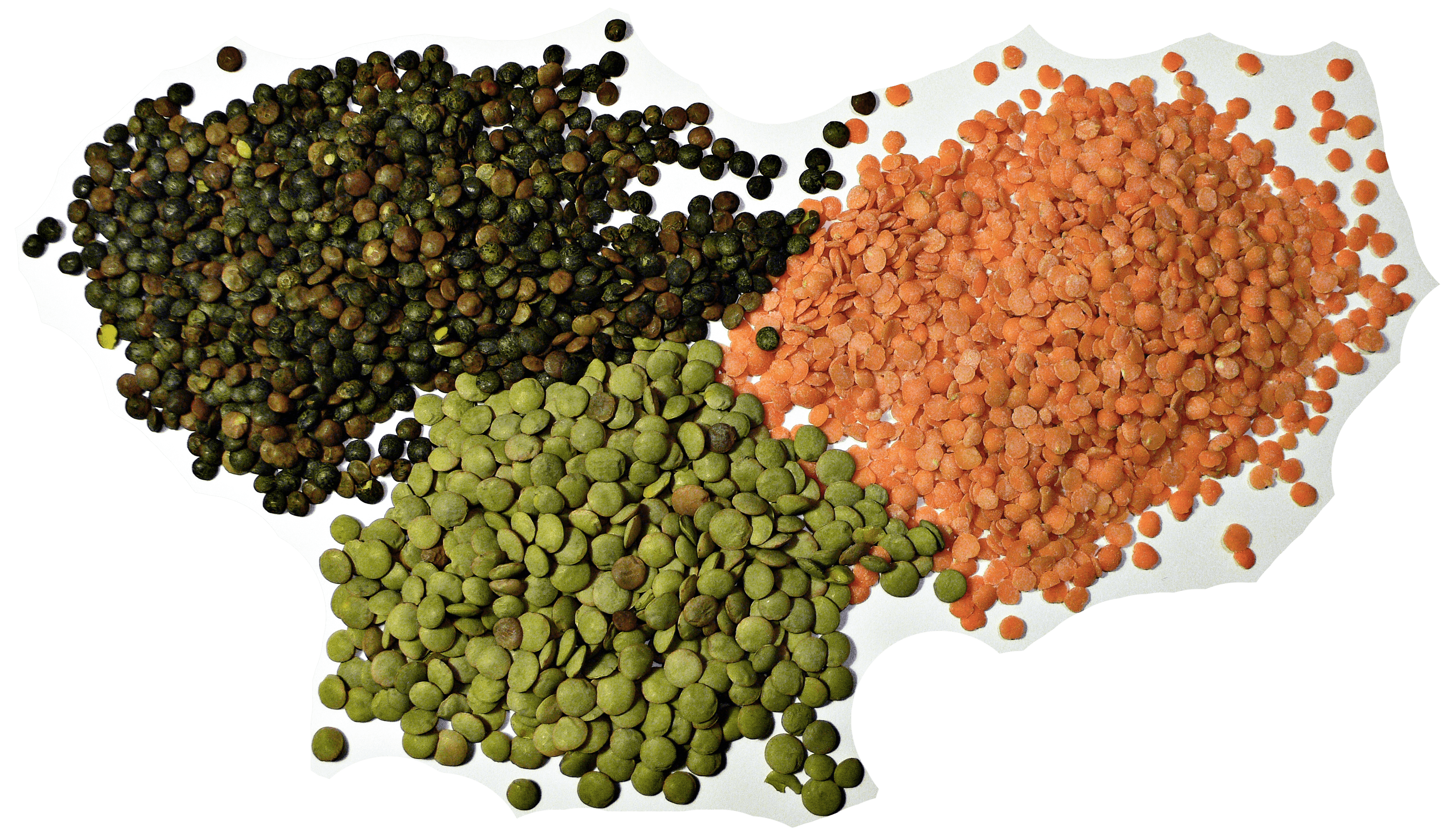 Creamy red lentil dal in a bowl garnished with cilantro and a drizzle of oil